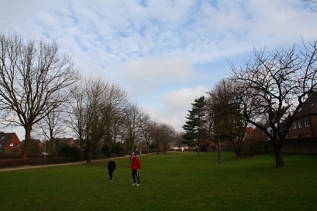 c0153740_1373571.jpg