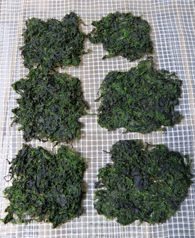 f0214649_549570.jpg