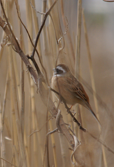 f0214649_674756.jpg