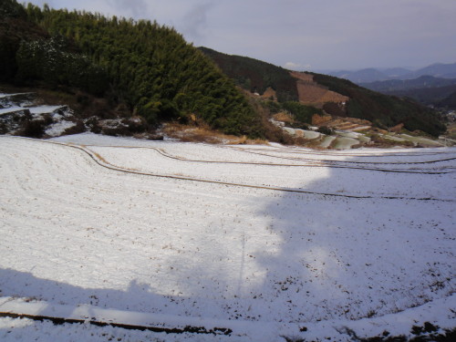 c0179351_1456976.jpg