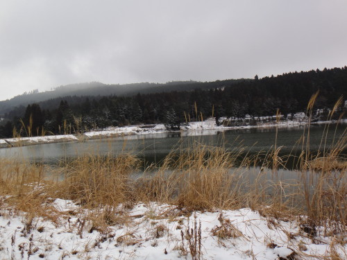 c0179351_1457244.jpg