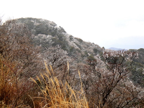 c0179351_1512257.jpg