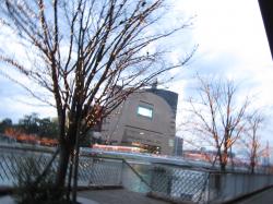a0139353_12403063.jpg