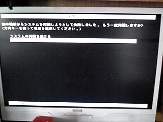 d0031853_1544151.jpg