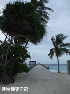 f0190653_16152985.jpg