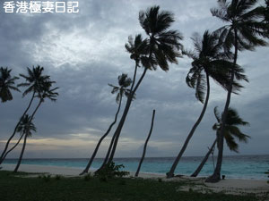 f0190653_16153458.jpg