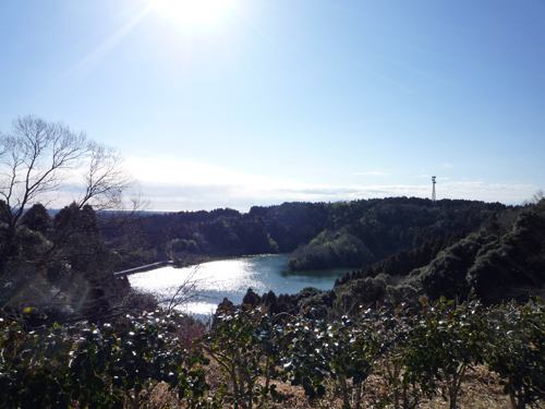 b0045357_9175177.jpg