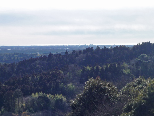 b0045357_9202154.jpg