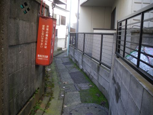 b0206463_16481921.jpg
