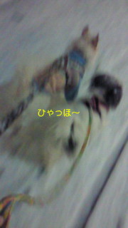 f0192863_236445.jpg