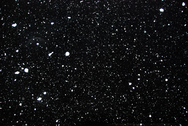 b0174068_23565265.jpg