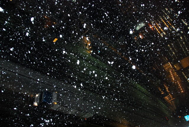 b0174068_2357947.jpg