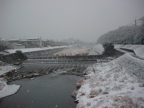 b0194872_22105721.jpg