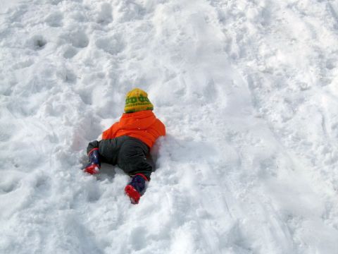 f0047773_20335821.jpg