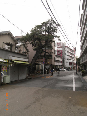 b0002879_20285566.jpg