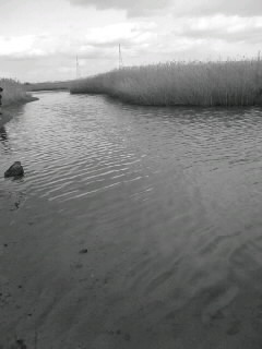 f0100480_21513232.jpg