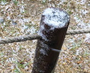 f0237680_1328257.jpg