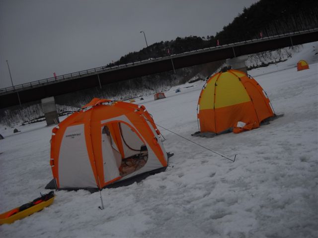 d0164783_215559.jpg