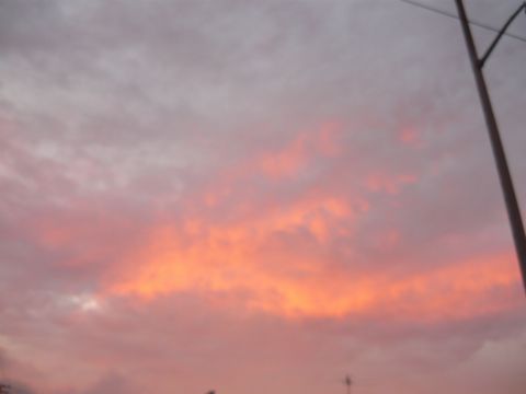 b0202185_16521323.jpg