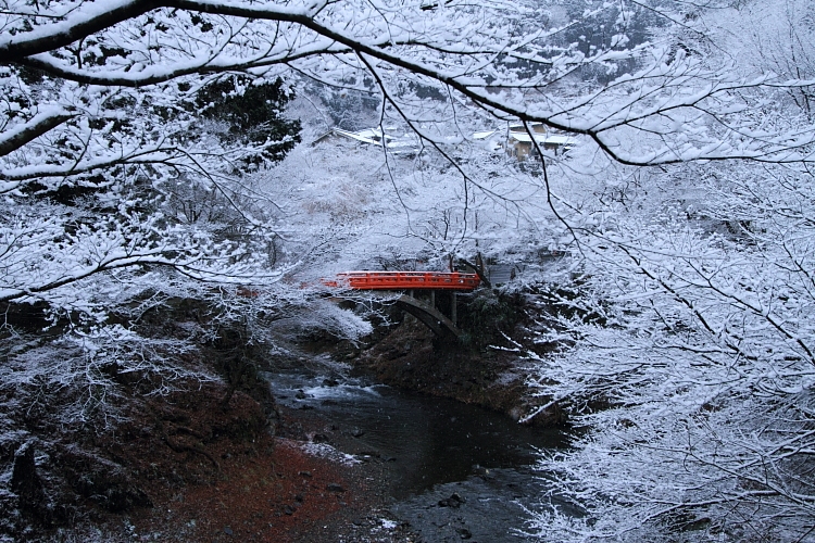 e0051888_420614.jpg
