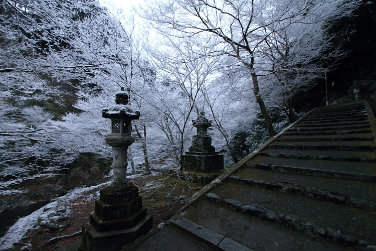 e0051888_4262547.jpg