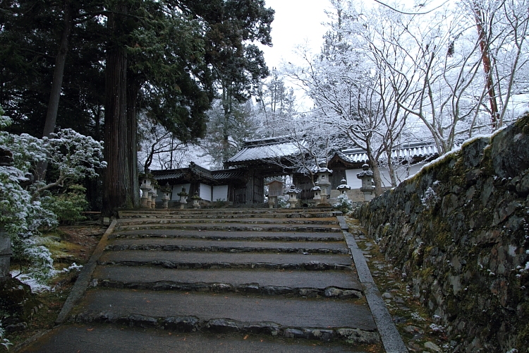 e0051888_4271559.jpg
