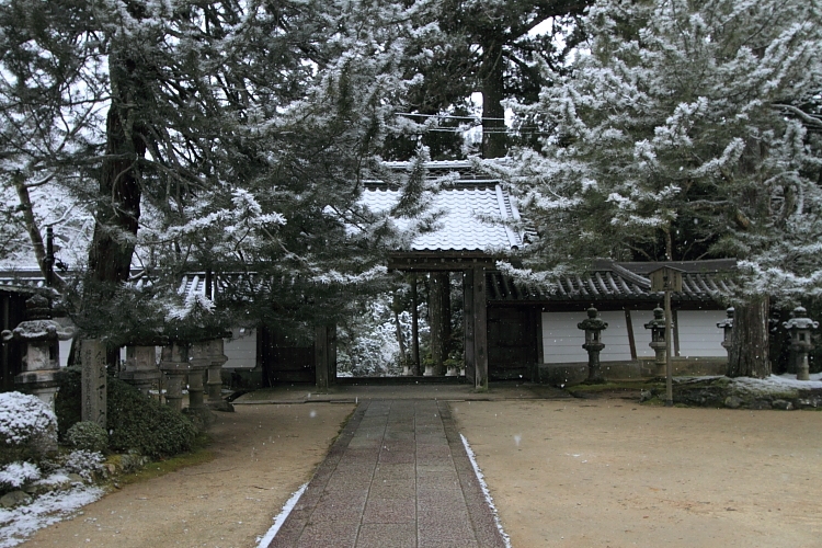e0051888_432163.jpg