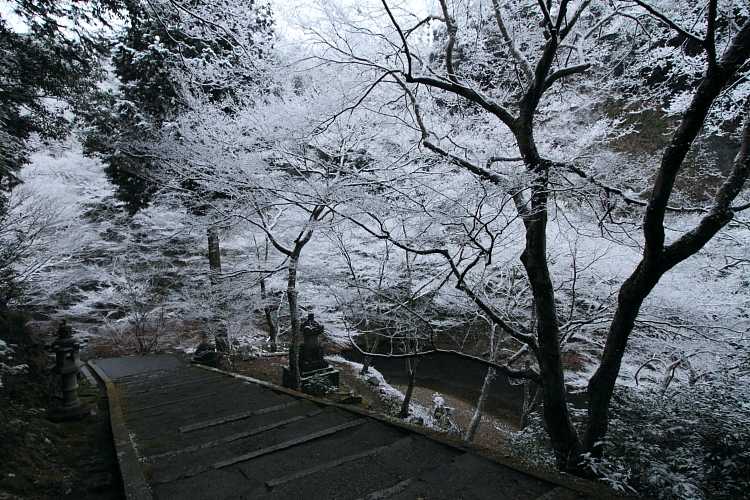 e0051888_4321956.jpg