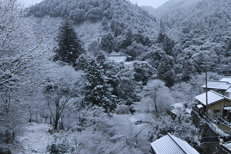 e0051888_4341546.jpg