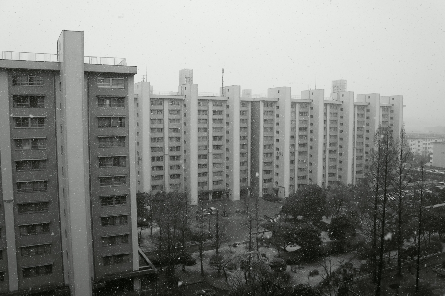 a0185693_21201851.jpg