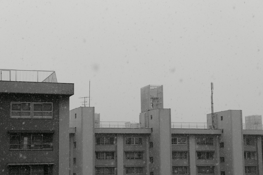 a0185693_21205443.jpg