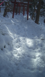 b0099994_6561323.jpg