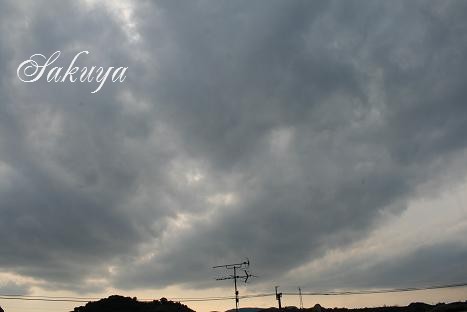 e0122194_151124.jpg