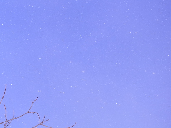 c0062796_0464069.jpg