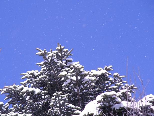 c0062796_047216.jpg