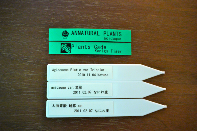 c0225297_392390.jpg