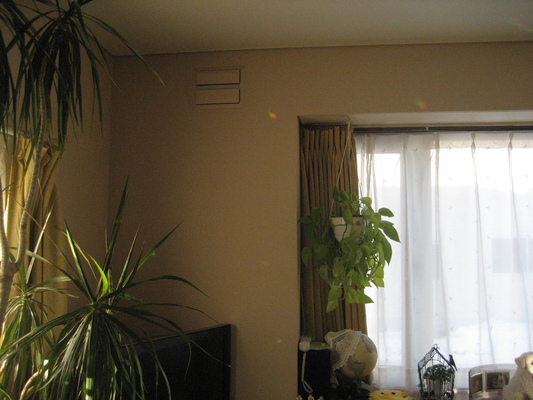 d0009101_13272939.jpg