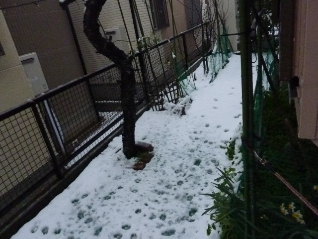 e0018604_9133562.jpg
