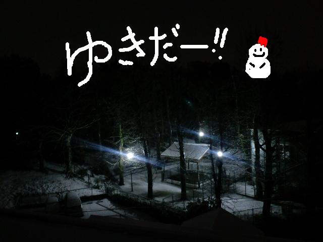 a0088007_0514520.jpg