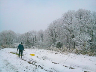 f0144707_10555640.jpg