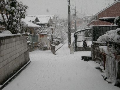 c0149408_1119711.jpg