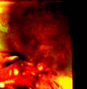 e0103408_21285268.jpg