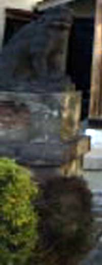 e0103408_21314061.jpg