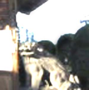 e0103408_2132578.jpg