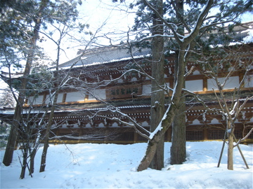 c0145209_1262050.jpg