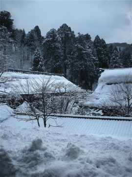 c0145209_128863.jpg