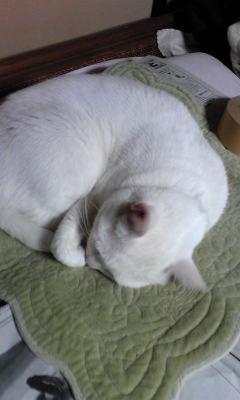 c0180209_21442226.jpg