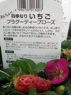 c0190010_18403566.jpg