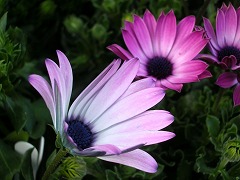 c0190010_18423955.jpg
