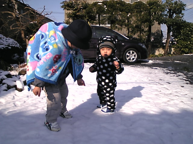 c0003217_2334542.jpg